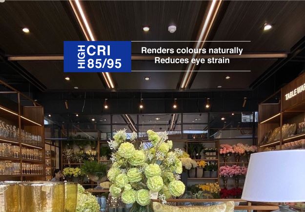 High CRI lighting expertise